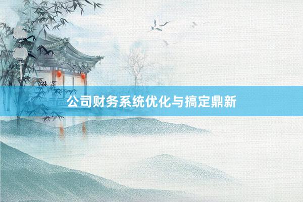 公司财务系统优化与搞定鼎新